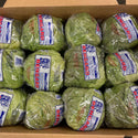 Wholesale LETTUCE 24 Bulk Produce Fresh Fruits and Vegetables
