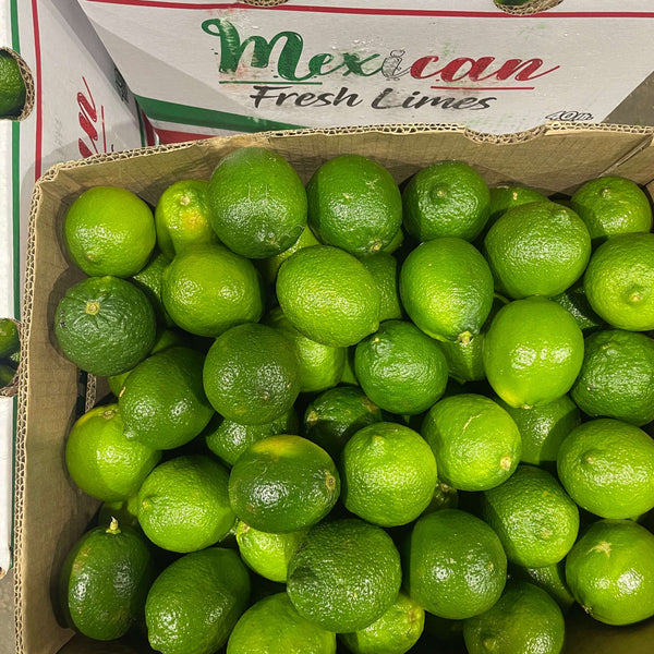 Wholesale LIME 150 MEXICAN Bulk Produce Fresh Fruits and Vegetables