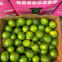 Wholesale LIME 175 SAAO Bulk Produce Fresh Fruits and Vegetables