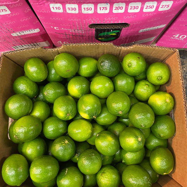 Wholesale LIME 175 SAAO Bulk Produce Fresh Fruits and Vegetables
