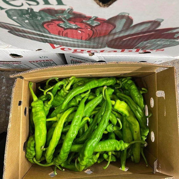 Wholesale LONG HOT PEPPER FOTO CUCUMBER Bulk Produce Fresh Fruits and Vegetables