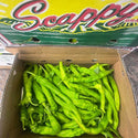 LONG HOT PEPPER