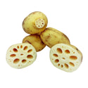 Wholesale LOTUS ROOTS Bulk Produce Fresh Fruits and Vegetables