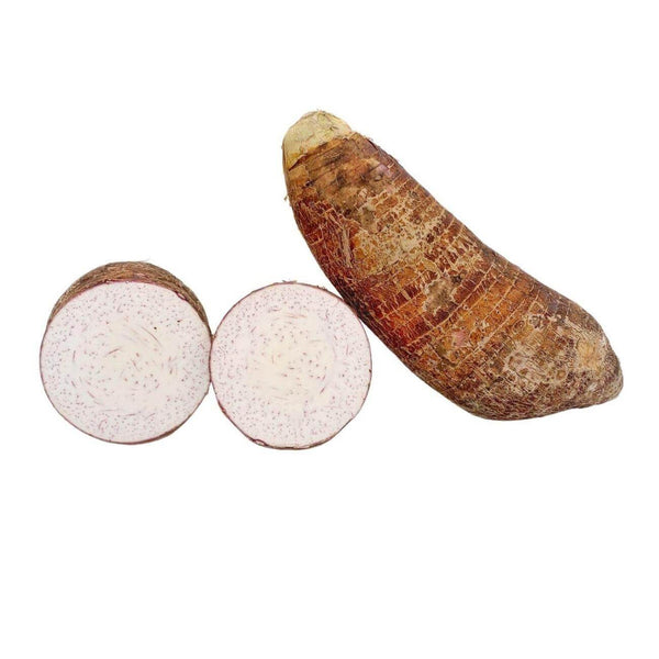 Wholesale MALANGA COCO (SAMPLE) Bulk Produce Fresh Fruits and Vegetables