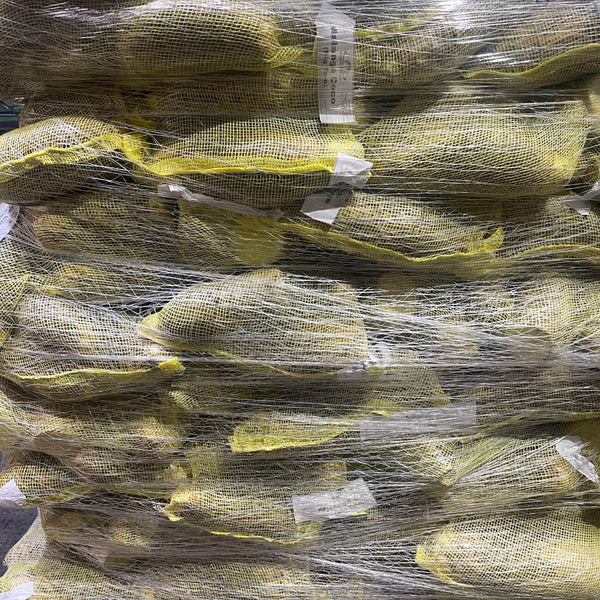Wholesale MALANGA YELLOW BAG Bulk Produce Fresh Fruits and Vegetables