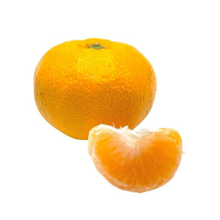Wholesale MANDARIN SATSUMA* Bulk Produce Fresh Fruits and Vegetables