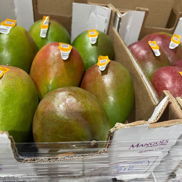 Wholesale MANGO Bulk Produce Fresh Fruits and Vegetables