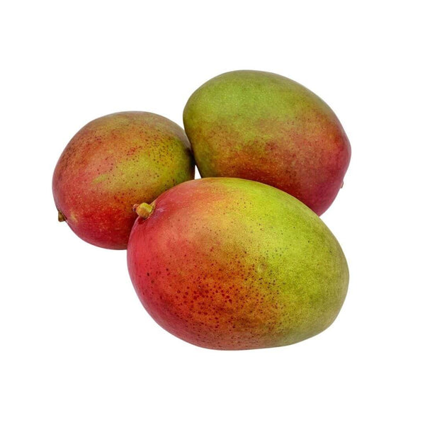 Wholesale MANGO Bulk Produce Fresh Fruits and Vegetables