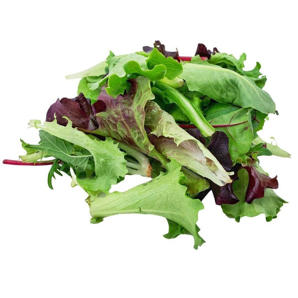 Wholesale MESCULIN MESCLUN Bulk Produce Fresh Fruits and Vegetables