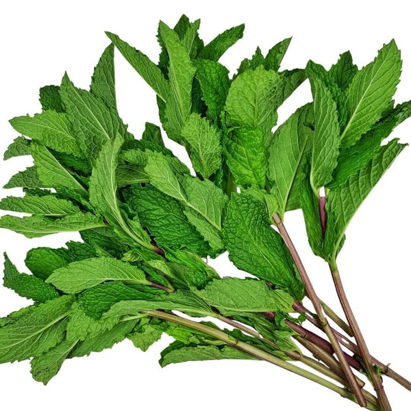 Wholesale MINT Bulk Produce Fresh Fruits and Vegetables