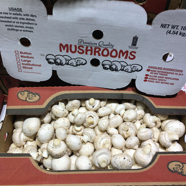 Wholesale MUSHROOM PREMIUM QUALITY Bulk Produce Fresh Fruits and Vegetables