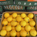 Wholesale ORANGE 88 SEQUOIA Bulk Produce Fresh Fruits and Vegetables