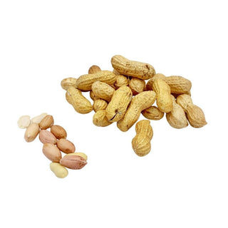 Wholesale PEANUT Bulk Produce Fresh Fruits and Vegetables