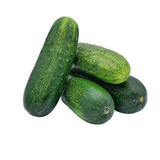 Wholesale PICKLE CUKE 4A Bulk Produce Fresh Fruits and Vegetables