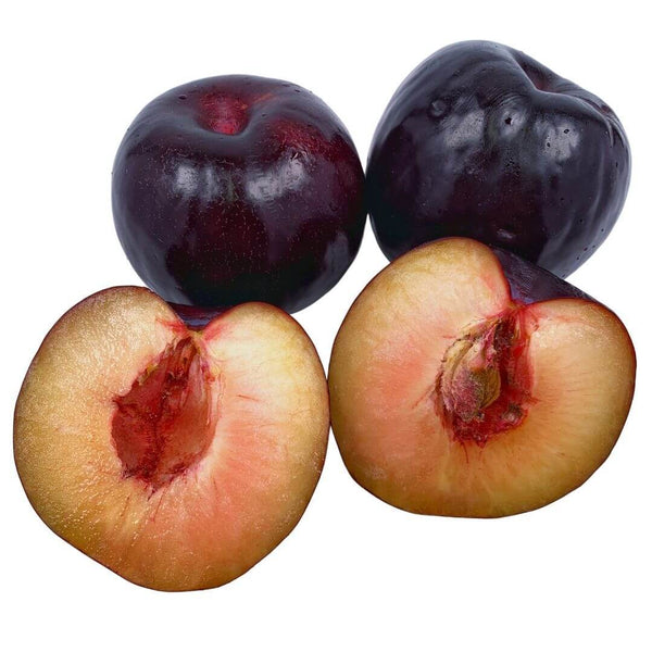 Wholesale PLUM Bulk Produce Fresh Fruits and Vegetables