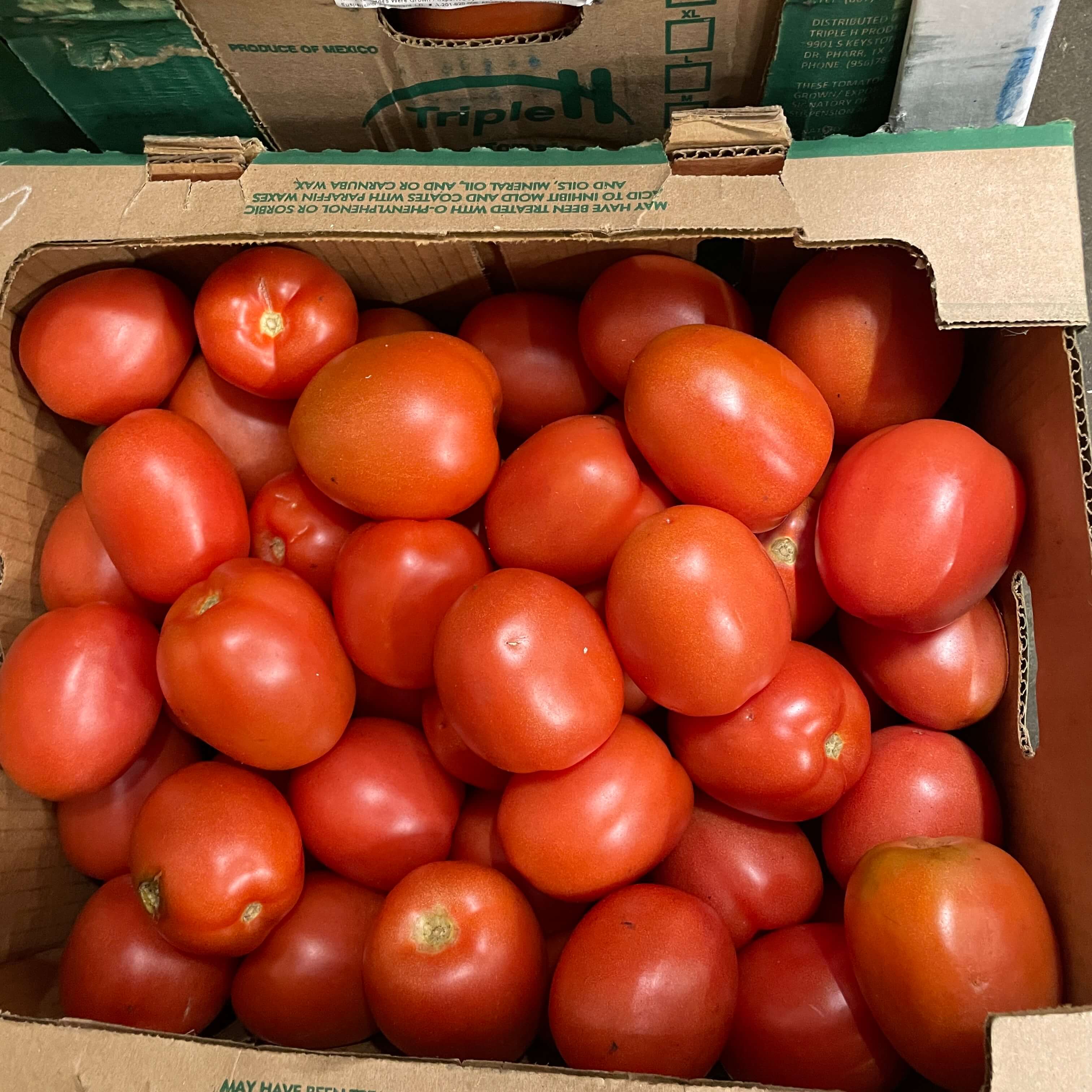 SHOP WHOLESALE PLUM TOMATO Purvey'd