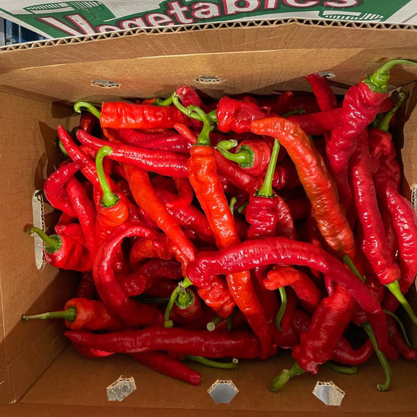 Wholesale RED LONG HOT PEPPER VEGETABLES Bulk Produce Fresh Fruits and Vegetables