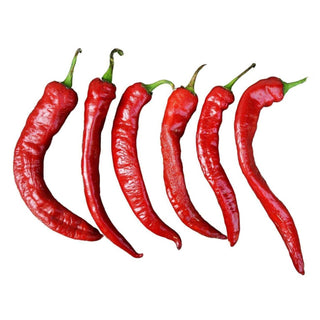 Wholesale RED LONG HOT PEPPER Bulk Produce Fresh Fruits and Vegetables
