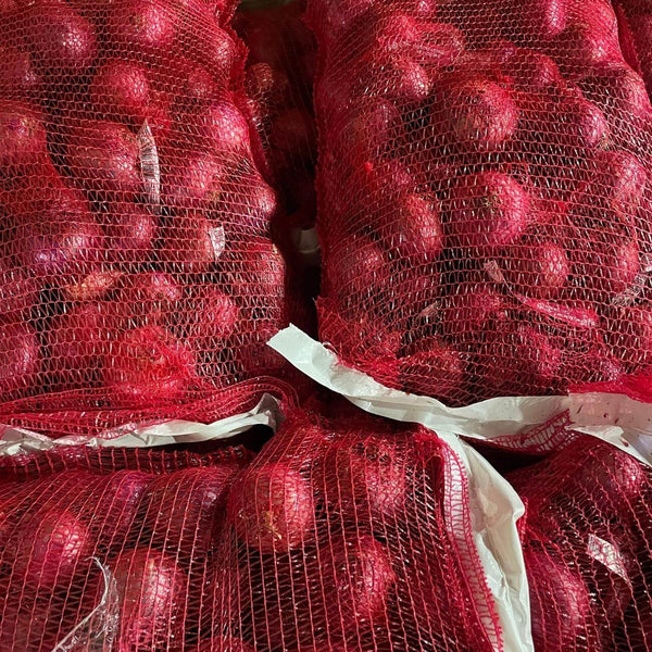 Wholesale RED ONION (2LB) Bulk Produce Fresh Fruits and Vegetables