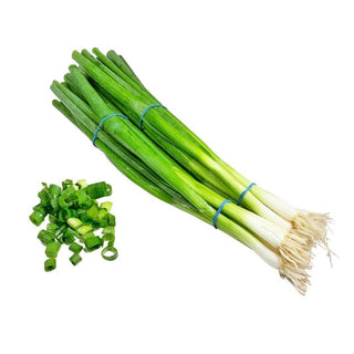 Wholesale SCALLION (SAMPLE) Bulk Produce Fresh Fruits and Vegetables