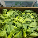 Wholesale SHANGHAI TIPS 3 MAN FARM Bulk Produce Fresh Fruits and Vegetables
