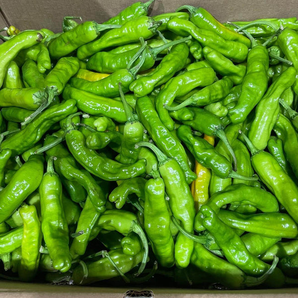 Wholesale SHISHITO PEPPER Bulk Produce Fresh Fruits and Vegetables