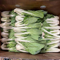 Wholesale SMALL BOK CHOY* Bulk Produce Fresh Fruits and Vegetables
