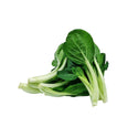 Wholesale SMALL BOK CHOY TIP* Bulk Produce Fresh Fruits and Vegetables