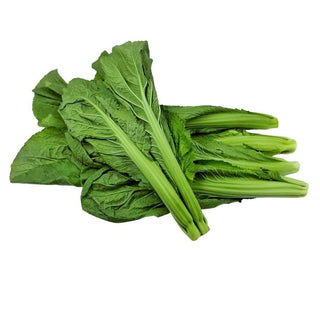 Wholesale SMALL MUSTARD GREEN Bulk Produce Fresh Fruits and Vegetables