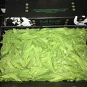 Wholesale SNOW PEA PERU FULL FRESH Bulk Produce Fresh Fruits and Vegetables