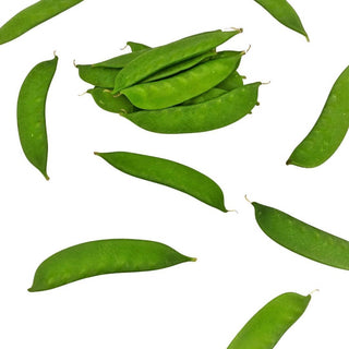 Wholesale SNOW PEA Bulk Produce Fresh Fruits and Vegetables