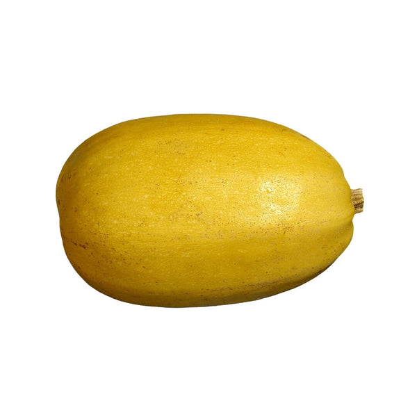 Wholesale SPAGHETTI SQUASH* Bulk Produce Fresh Fruits and Vegetables