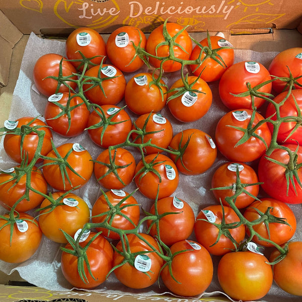 Wholesale STEM TOMATO PURE FLAVOR Bulk Produce Fresh Fruits and Vegetables