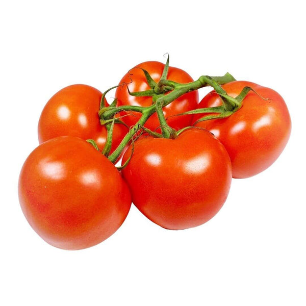 Wholesale STEM TOMATO Bulk Produce Fresh Fruits and Vegetables