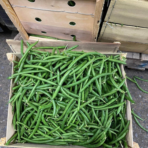 Wholesale STRING BEAN LYNNETTE Bulk Produce Fresh Fruits and Vegetables