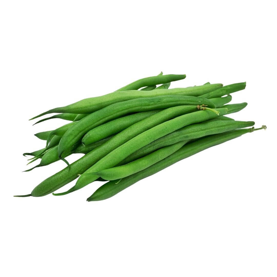 SHOP WHOLESALE STRING BEAN | Purvey'd