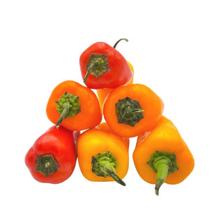 Wholesale SWEET MINI PEPPER* Bulk Produce Fresh Fruits and Vegetables