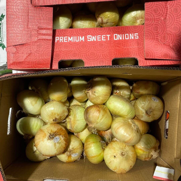Wholesale SWEET ONION* Bulk Produce Fresh Fruits and Vegetables