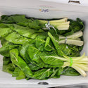 Wholesale SWISS CHARD* GREEN Bulk Produce Fresh Fruits and Vegetables