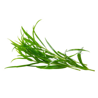 Wholesale TARRAGON* Bulk Produce Fresh Fruits and Vegetables