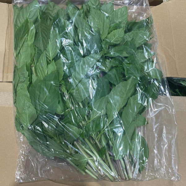 Wholesale THAI BASIL (SAMPLE) GENERIC Bulk Produce Fresh Fruits and Vegetables