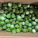 Wholesale EGGPLANT (THAI)* Bulk Produce Fresh Fruits and Vegetables