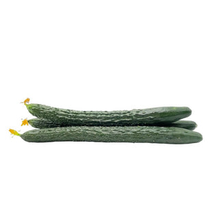 Wholesale TIAN JIN CUCUMBER Bulk Produce Fresh Fruits and Vegetables