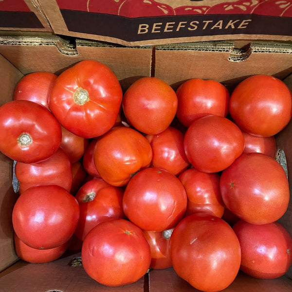 Wholesale TOMATO 5X6 BEEFSTAKE Bulk Produce Fresh Fruits and Vegetables
