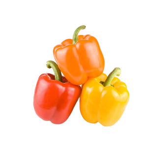 Wholesale TRICOLOR PEPPER Bulk Produce Fresh Fruits and Vegetables