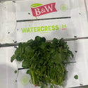 Wholesale WATERCRESS Bulk Produce Fresh Fruits and Vegetables