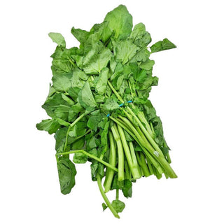 Wholesale WATERCRESS Bulk Produce Fresh Fruits and Vegetables