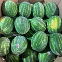 Wholesale WATERMELON #36 Bulk Produce Fresh Fruits and Vegetables