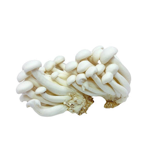 Wholesale WHITE BEECH MUSHROOM* Bulk Produce Fresh Fruits and Vegetables