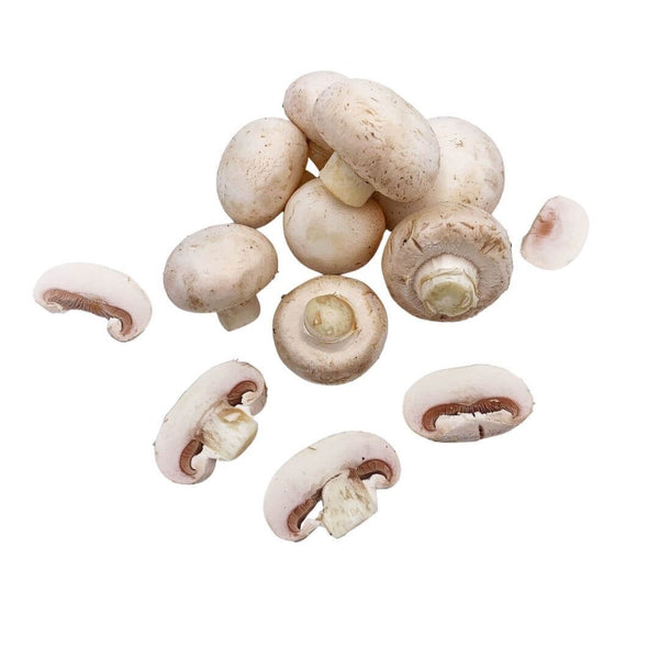 Wholesale WHITE MUSHROOM (MEDIUM) Bulk Produce Fresh Fruits and Vegetables
